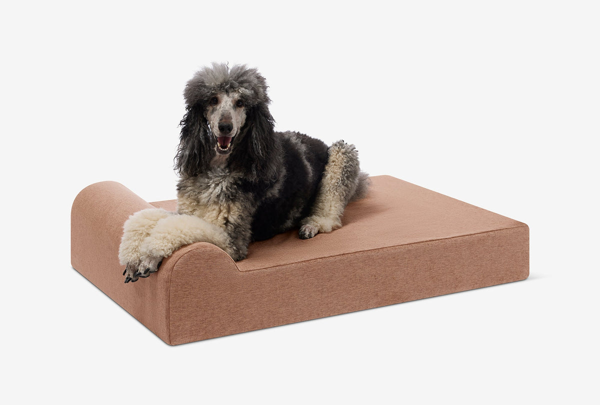 Seven-Inch Orthopedic Dog Bed, Headrest Edition / Large - 48" x 30" x 7" / Mocha Linen