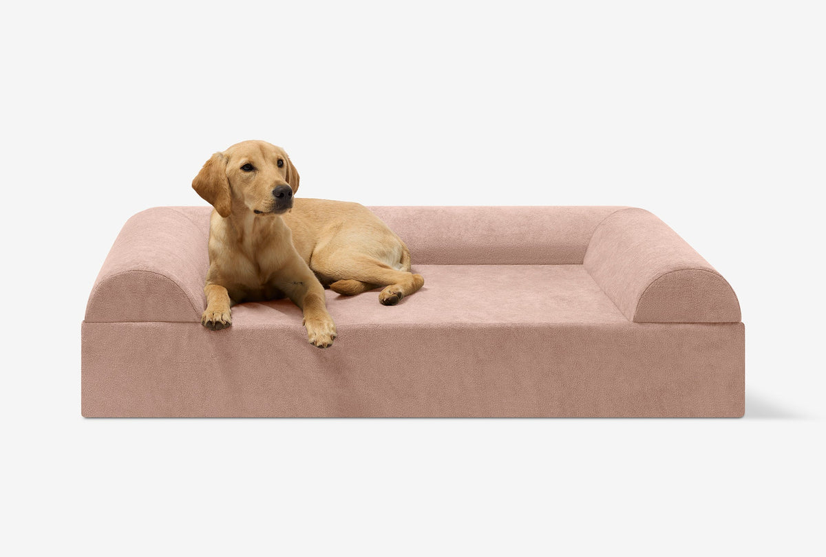 Seven-Inch Orthopedic Dog Bed, Sofa Edition / Large - 48" x 30" x 7" / Fawn Microplush
