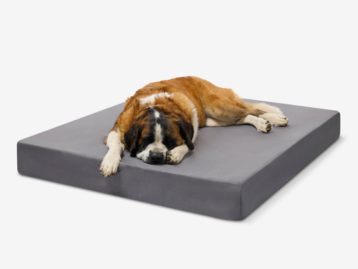 Seven-Inch Orthopedic Dog Bed, Sleek Edition / Giant - 60" x 48" x 7" / Charcoal Gray
