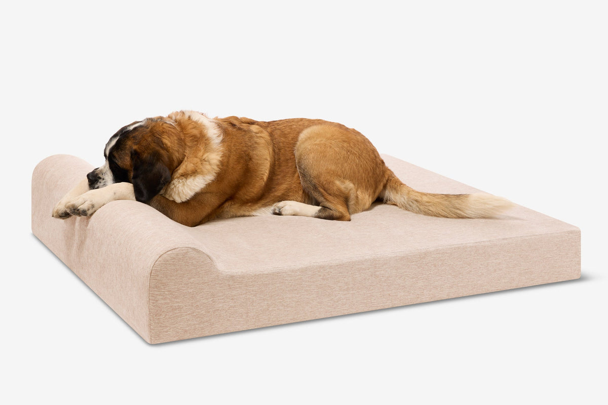 Seven-Inch Orthopedic Dog Bed, Headrest Edition / Giant - 60" x 48" x 7" / Driftwood Linen