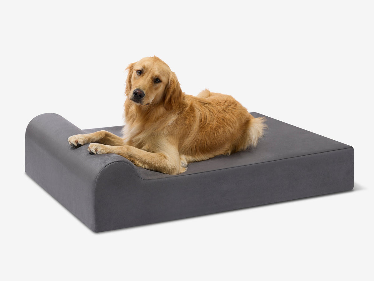 Seven-Inch Orthopedic Dog Bed, Headrest Edition / Large - 48" x 30" x 7" / Charcoal Gray