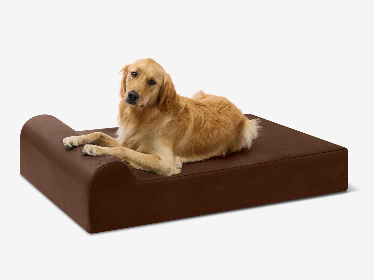 Seven-Inch Orthopedic Dog Bed, Headrest Edition / Large - 48" x 30" x 7" / Chocolate