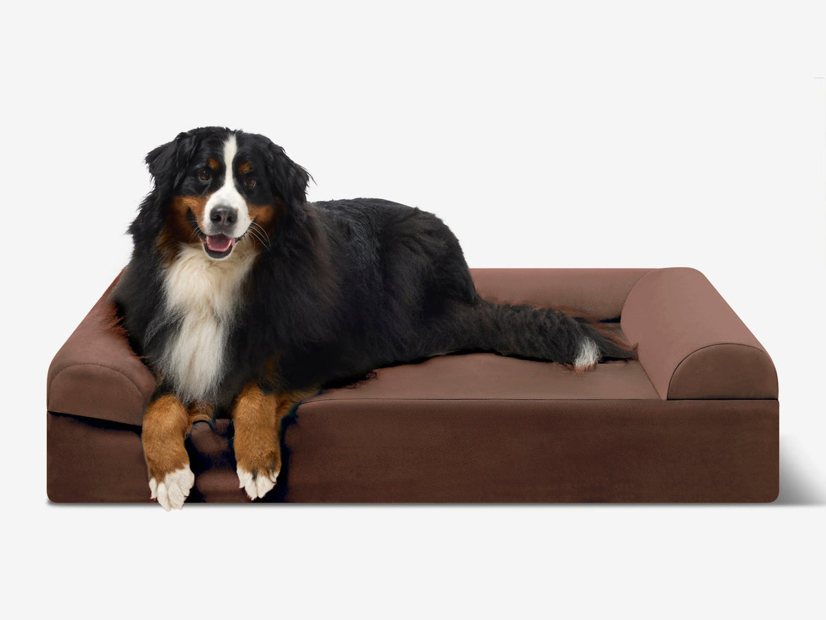 Seven-Inch Orthopedic Dog Bed, Sofa Edition / Extra Large - 52" x 36" x 7" / Chocolate