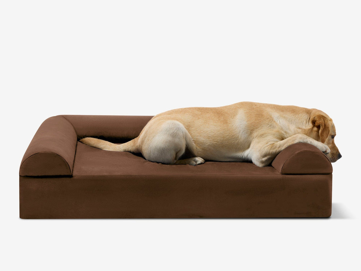 Seven-Inch Orthopedic Dog Bed, Sofa Edition / Large - 48" x 30" x 7" / Chocolate