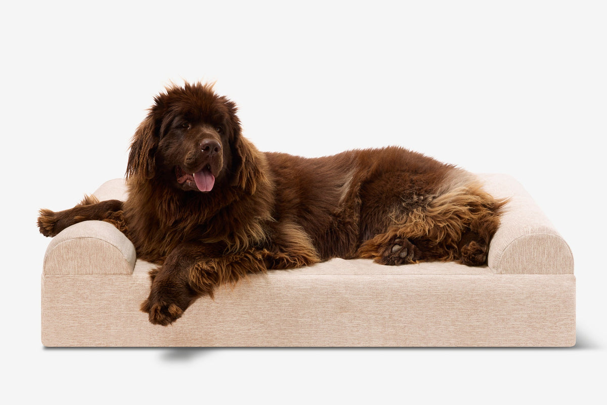 Seven-Inch Orthopedic Dog Bed, Sofa Edition / Extra Large - 52" x 36" x 7" / Driftwood Linen