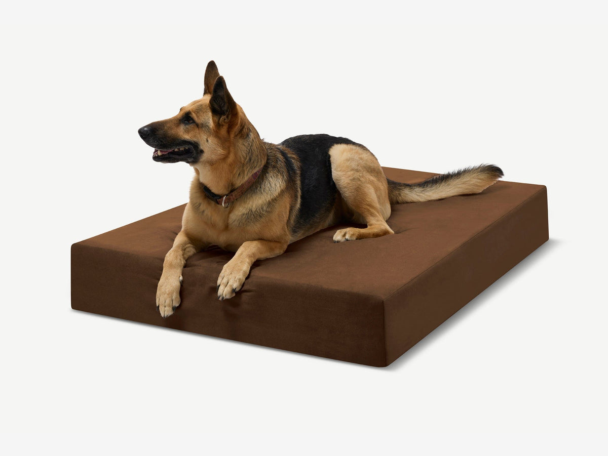 Seven-Inch Orthopedic Dog Bed, Sleek Edition / Extra Large - 52" x 36" x 7" / Chocolate