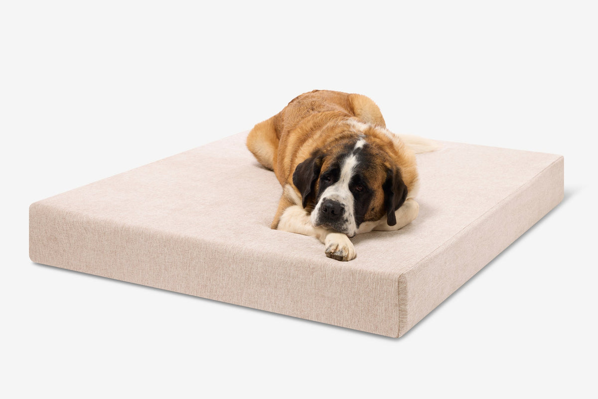 Seven-Inch Orthopedic Dog Bed, Sleek Edition / Giant - 60" x 48" x 7" / Driftwood Linen