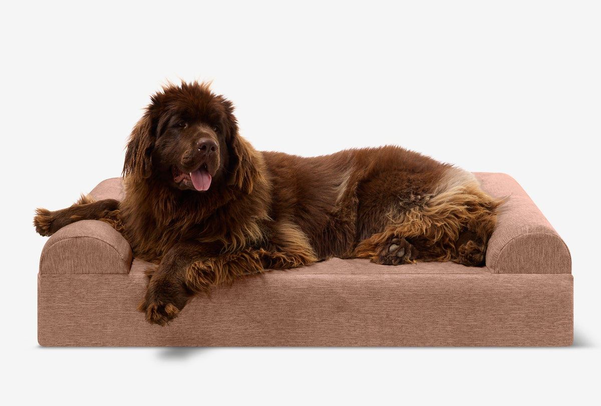 Seven-Inch Orthopedic Dog Bed, Sofa Edition / Extra Large - 52" x 36" x 7" / Mocha Linen