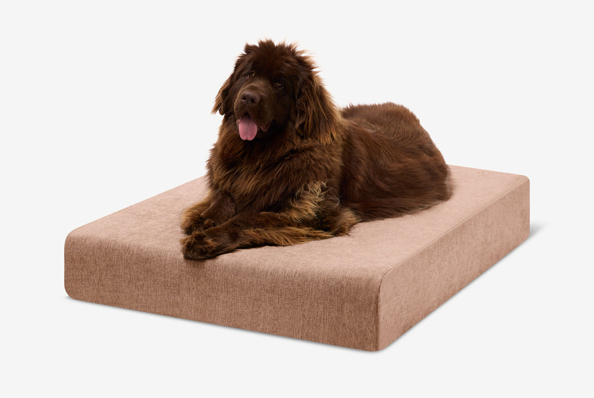 Seven-Inch Orthopedic Dog Bed, Sleek Edition / Extra Large - 52" x 36" x 7" / Mocha Linen