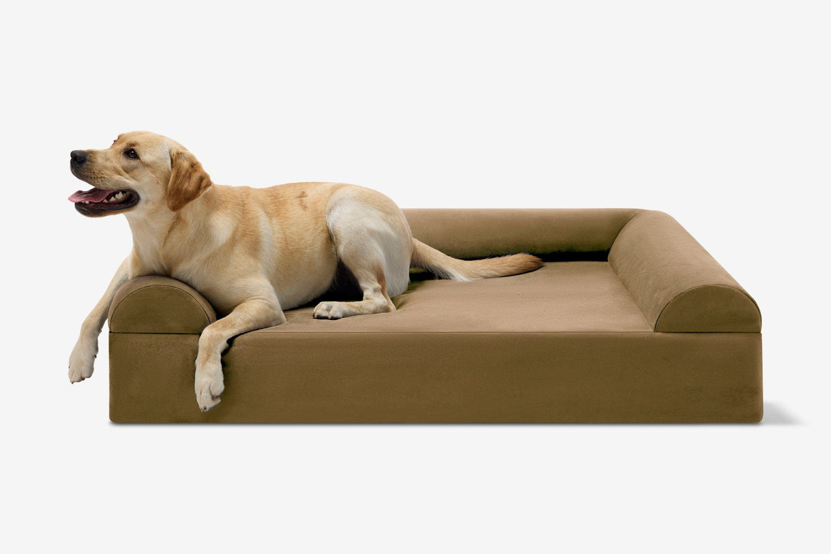 Seven-Inch Orthopedic Dog Bed, Sofa Edition / Large - 48" x 30" x 7" / Tough Cordura