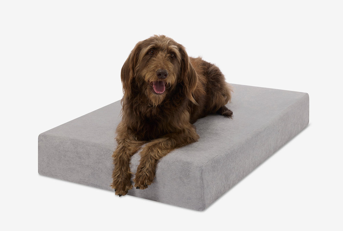 Seven-Inch Orthopedic Dog Bed, Sleek Edition / Large - 48" x 30" x 7" / Pebble Microplush