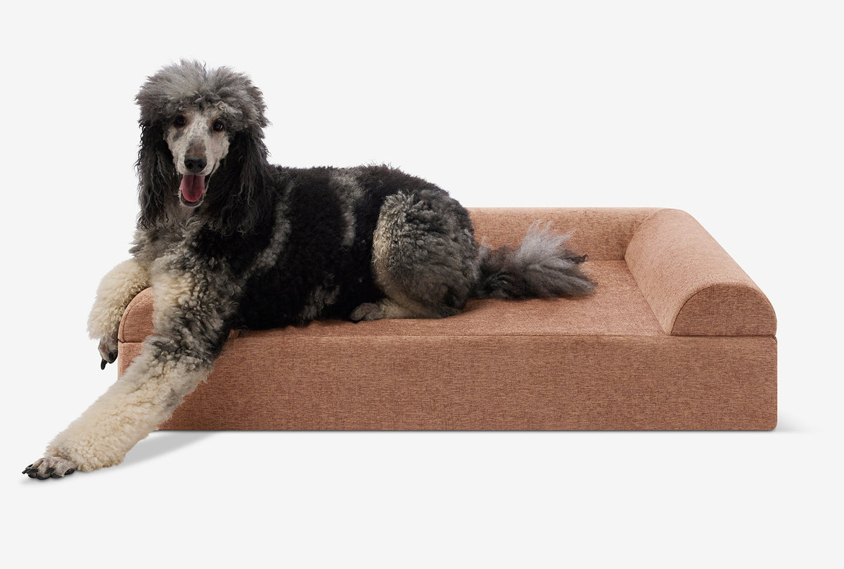 Seven-Inch Orthopedic Dog Bed, Sofa Edition / Large - 48" x 30" x 7" / Mocha Linen