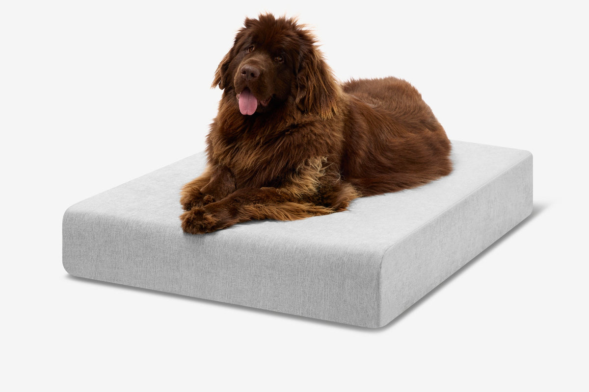 Seven-Inch Orthopedic Dog Bed, Sleek Edition / Extra Large - 52" x 36" x 7" / Stormcloud Linen