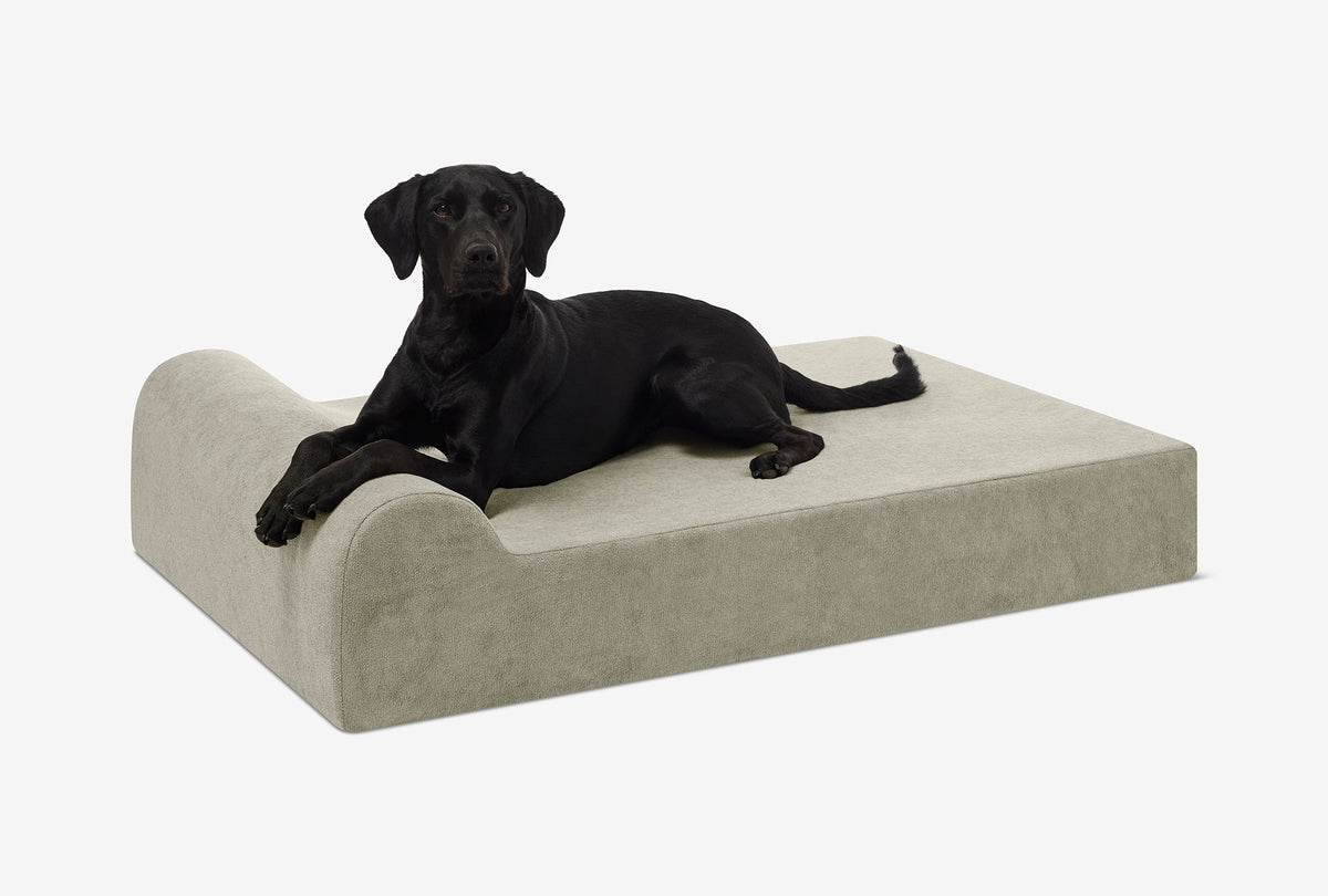 Seven-Inch Orthopedic Dog Bed, Headrest Edition / Large - 48" x 30" x 7" / Jade Microplush