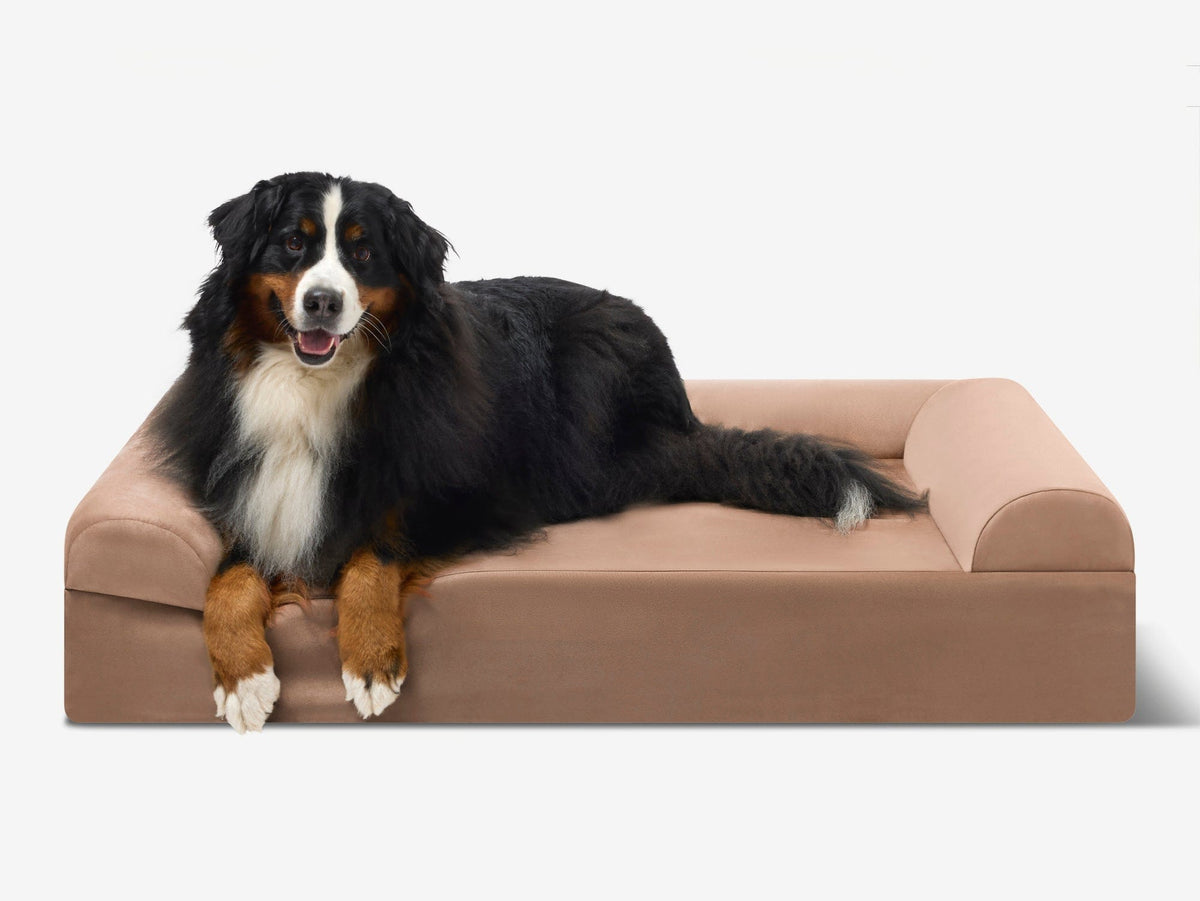 Seven-Inch Orthopedic Dog Bed, Sofa Edition / Extra Large - 52" x 36" x 7" / Khaki