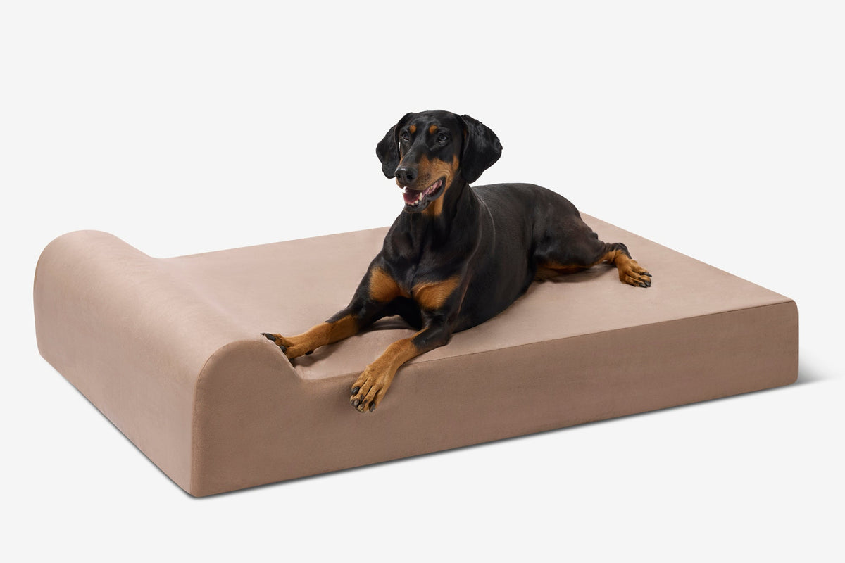 Seven-Inch Orthopedic Dog Bed, Headrest Edition / Extra Large - 52" x 36" x 7" / Khaki