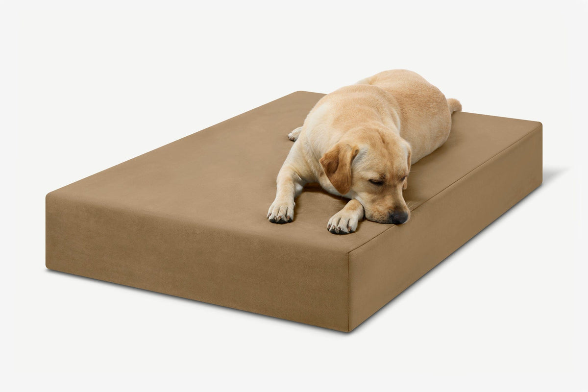 Seven-Inch Orthopedic Dog Bed, Sleek Edition / Large - 48" x 30" x 7" / Tough Cordura