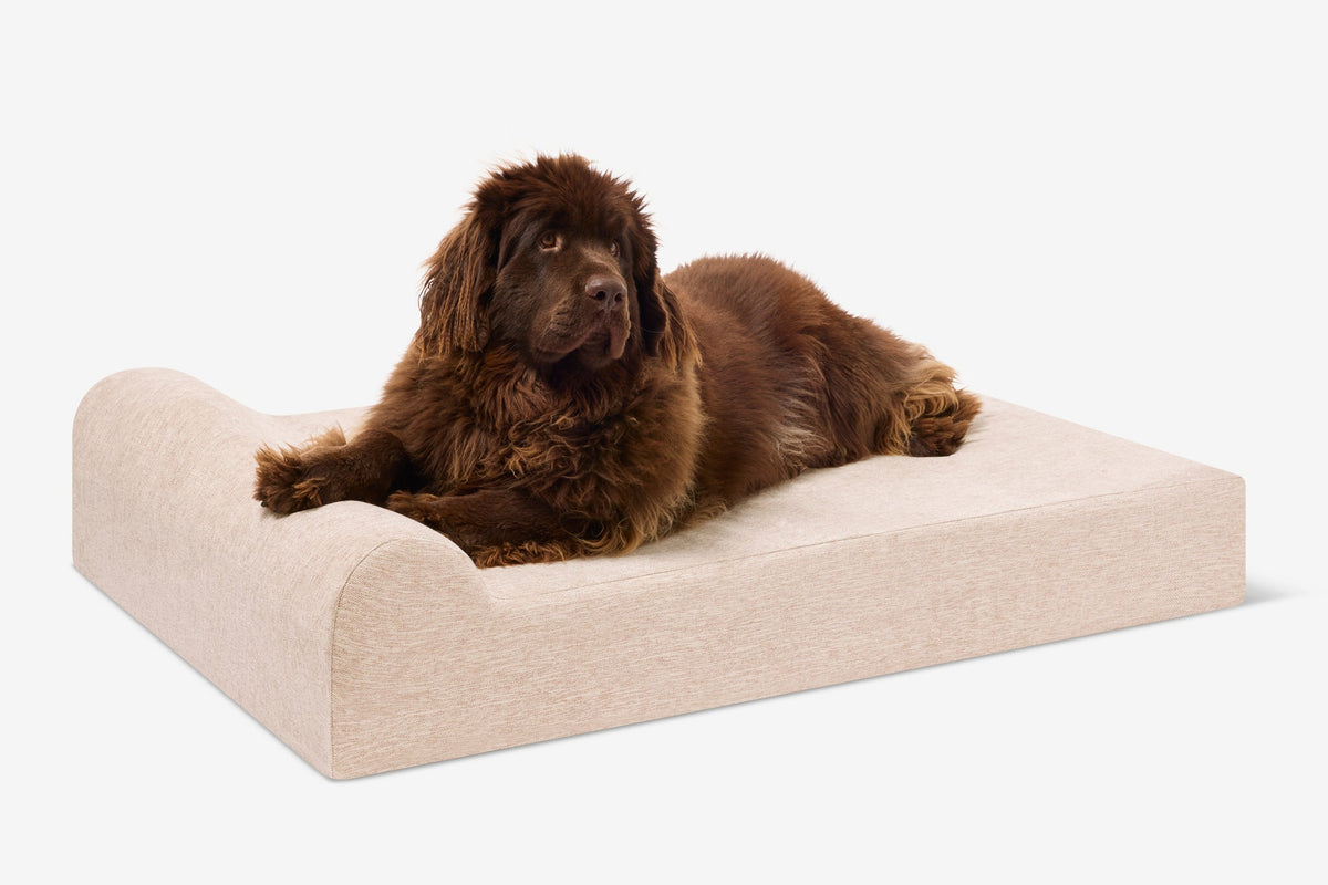 Seven-Inch Orthopedic Dog Bed, Headrest Edition / Extra Large - 52" x 36" x 7" / Driftwood Linen