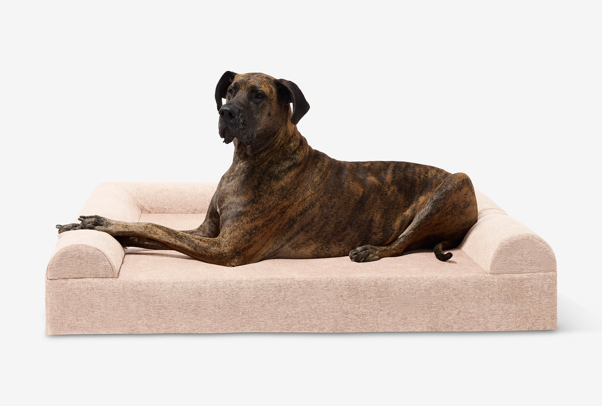 Seven-Inch Orthopedic Dog Bed, Sofa Edition / Giant - 60" x 48" x 7" / Driftwood Linen