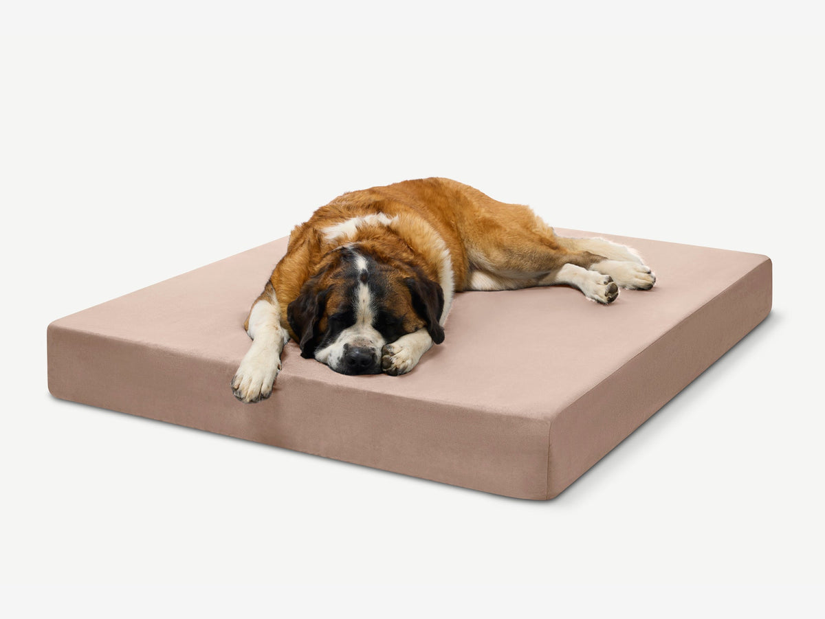 Seven-Inch Orthopedic Dog Bed, Sleek Edition / Giant - 60" x 48" x 7" / Khaki