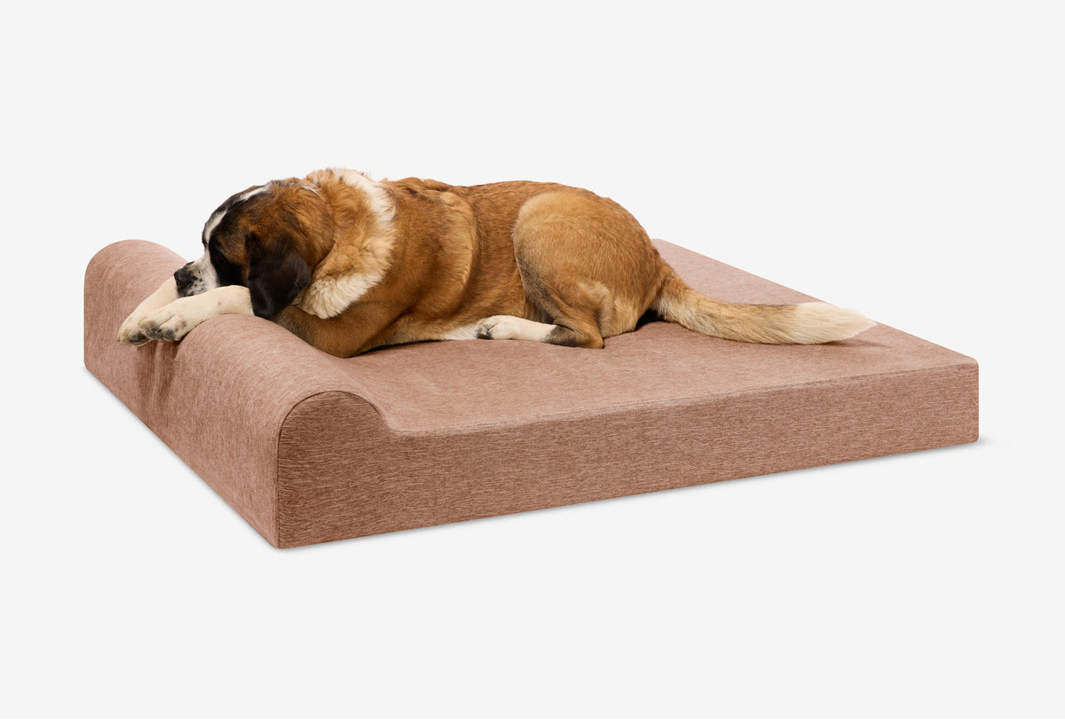 Seven-Inch Orthopedic Dog Bed, Headrest Edition / Giant - 60" x 48" x 7" / Mocha Linen
