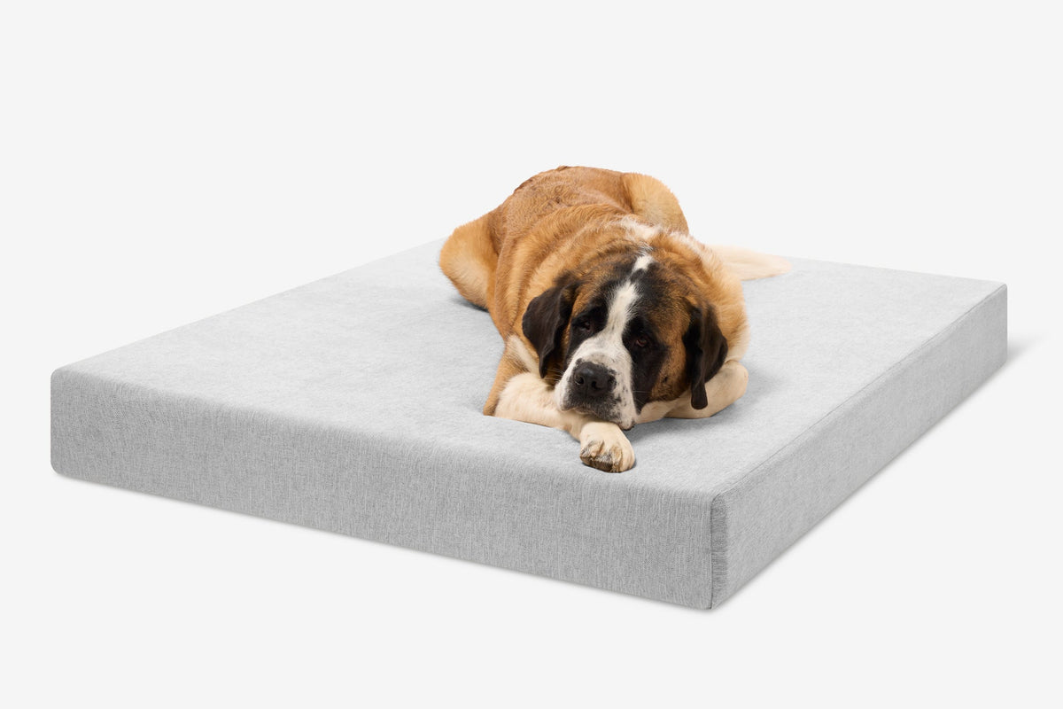 Seven-Inch Orthopedic Dog Bed, Sleek Edition / Giant - 60" x 48" x 7" / Stormcloud Linen