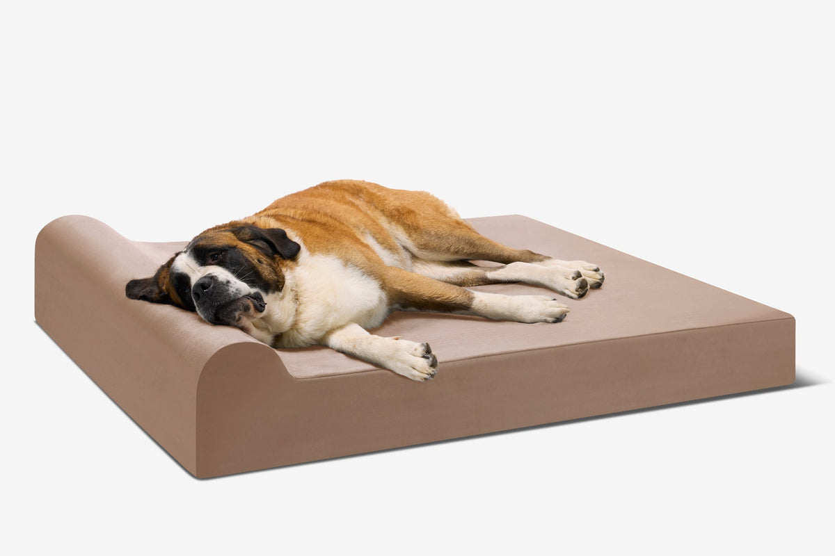 Seven-Inch Orthopedic Dog Bed, Headrest Edition / Giant - 60" x 48" x 7" / Khaki