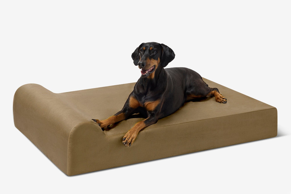 Seven-Inch Orthopedic Dog Bed, Headrest Edition / Extra Large - 52" x 36" x 7" / Tough Cordura