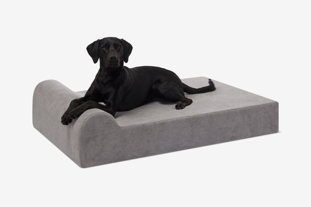 Seven-Inch Orthopedic Dog Bed, Headrest Edition / Large - 48" x 30" x 7" / Pebble Microplush