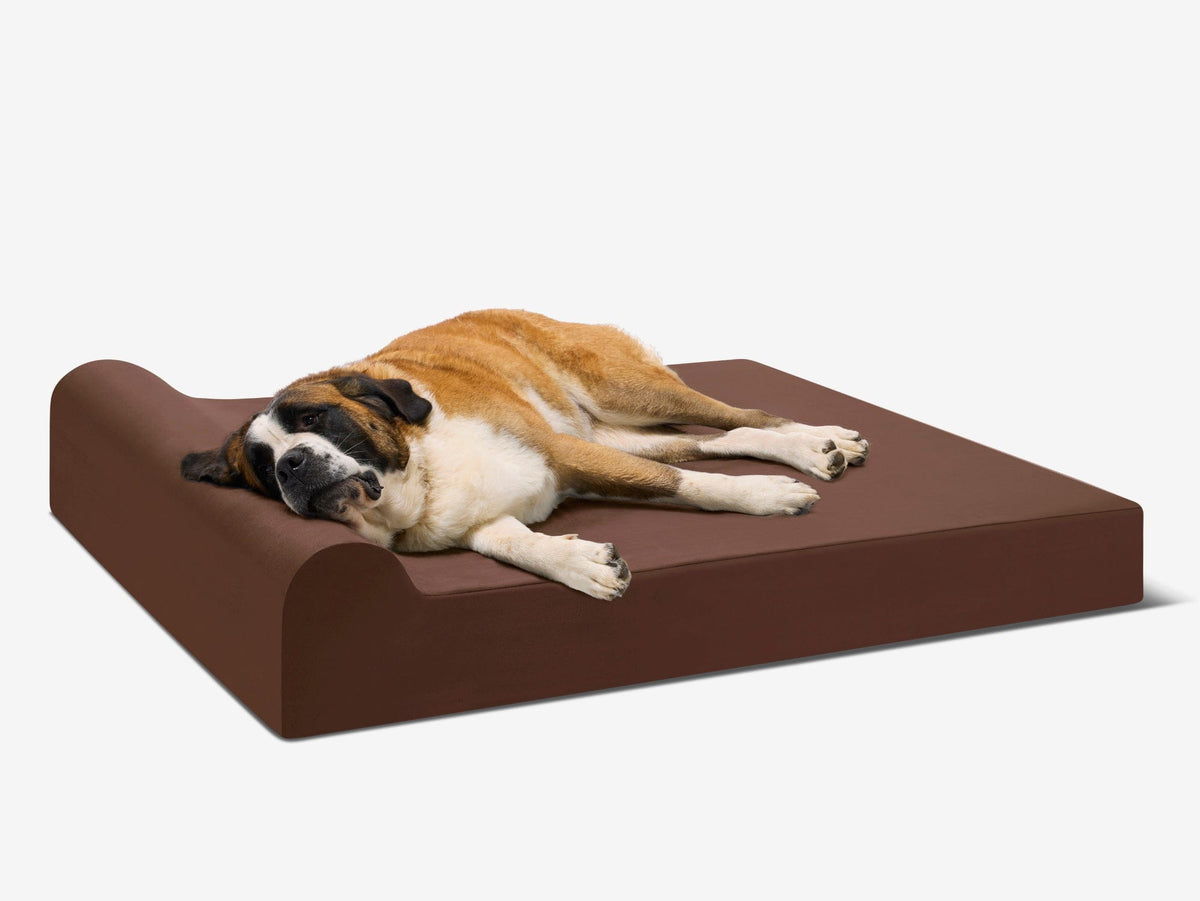 Seven-Inch Orthopedic Dog Bed, Headrest Edition / Giant - 60" x 48" x 7" / Chocolate