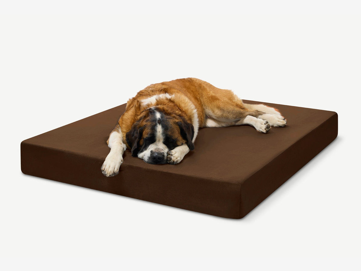 Seven-Inch Orthopedic Dog Bed, Sleek Edition / Giant - 60" x 48" x 7" / Chocolate