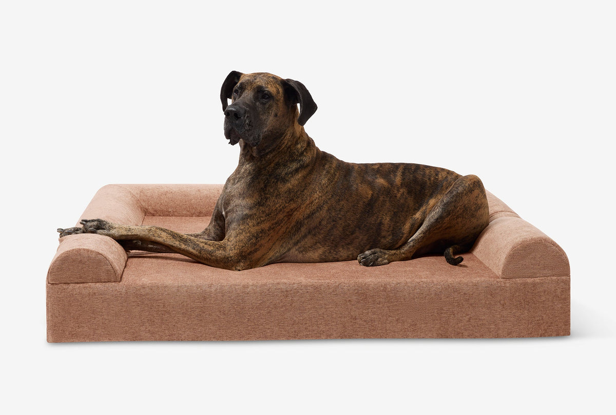Seven-Inch Orthopedic Dog Bed, Sofa Edition / Giant - 60" x 48" x 7" / Mocha Linen