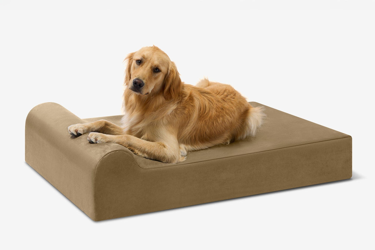 Seven-Inch Orthopedic Dog Bed, Headrest Edition / Large - 48" x 30" x 7" / Tough Cordura