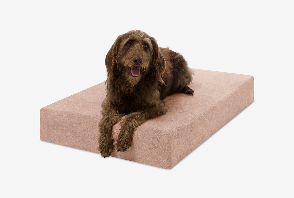 Seven-Inch Orthopedic Dog Bed, Sleek Edition / Large - 48" x 30" x 7" / Fawn Microplush