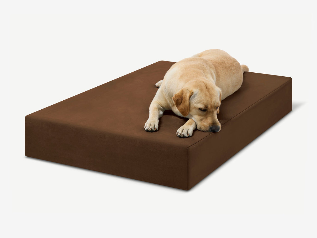 Seven-Inch Orthopedic Dog Bed, Sleek Edition / Large - 48" x 30" x 7" / Chocolate