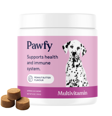 Dog Multivitamin Soft Chews product image 1