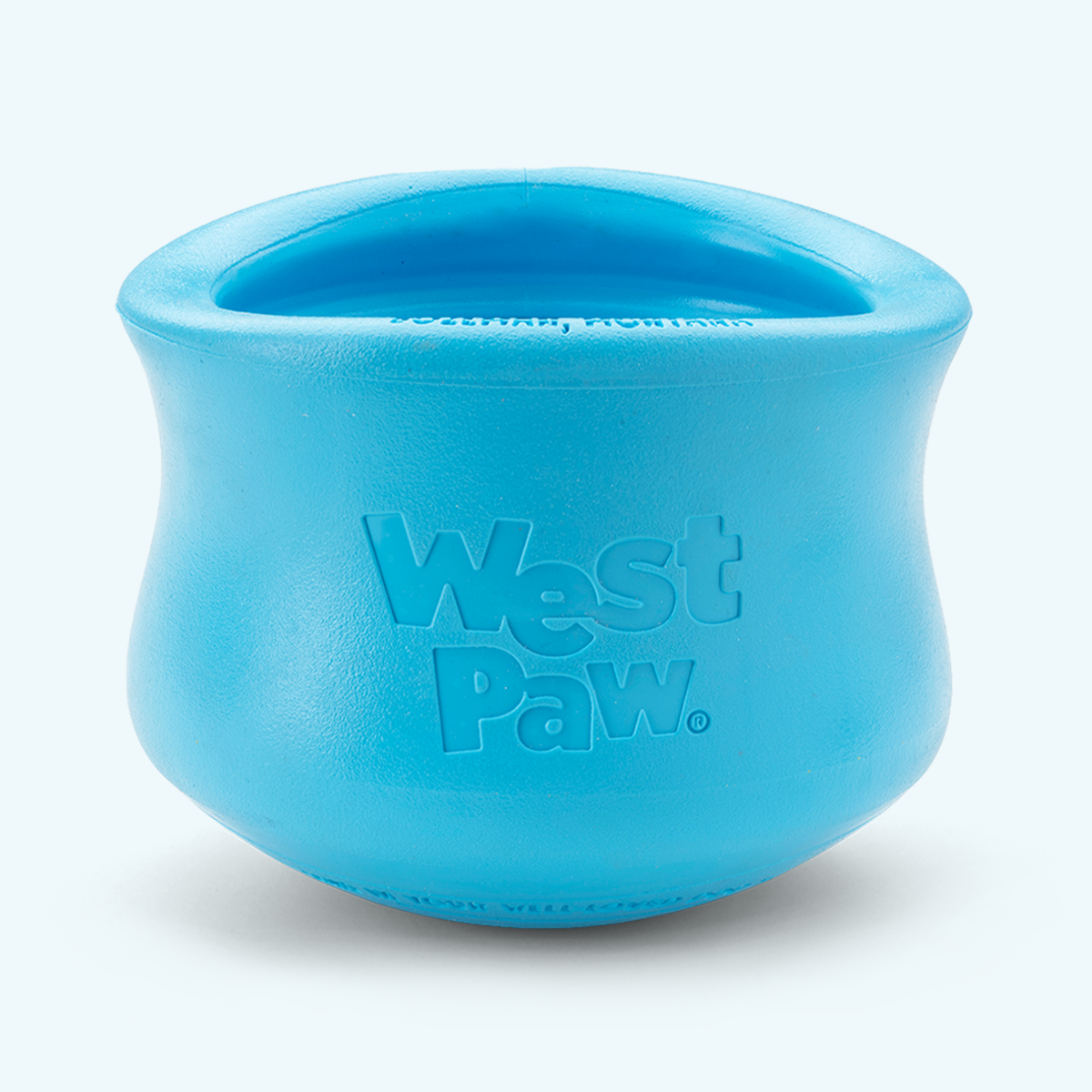 Fillable Dog Puzzle Toy, L / Aqua Blue