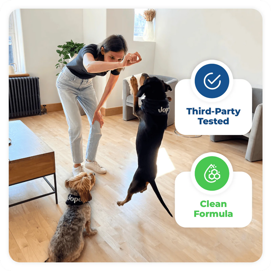 Jope is for every size of dogs and help them to stay active and healthy by protecting their joints with organic ingredients.