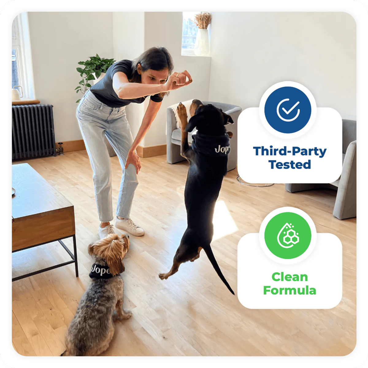 Jope is for every size of dogs and help them to stay active and healthy by protecting their joints with organic ingredients.