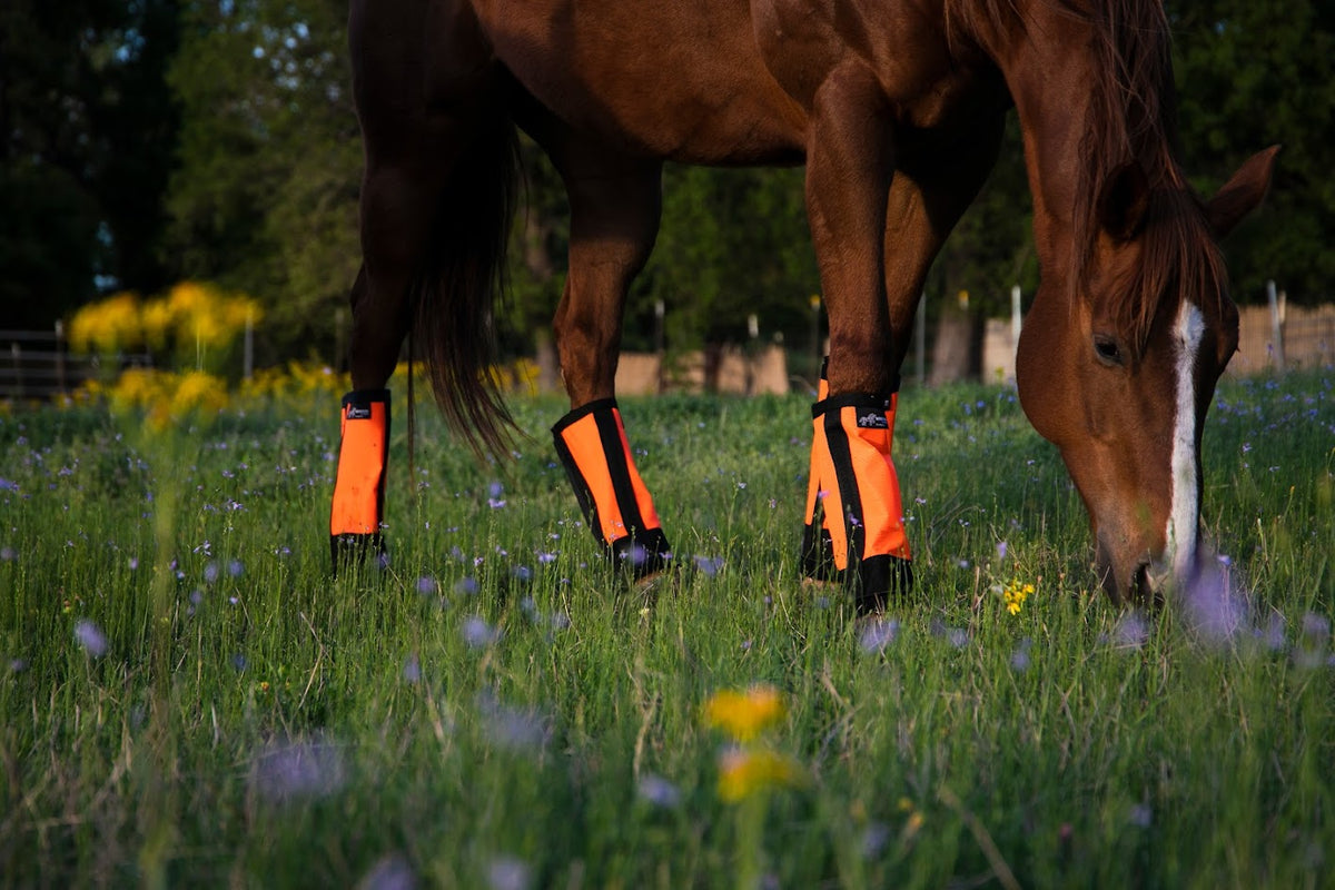 Horse Fly Boots product image 3