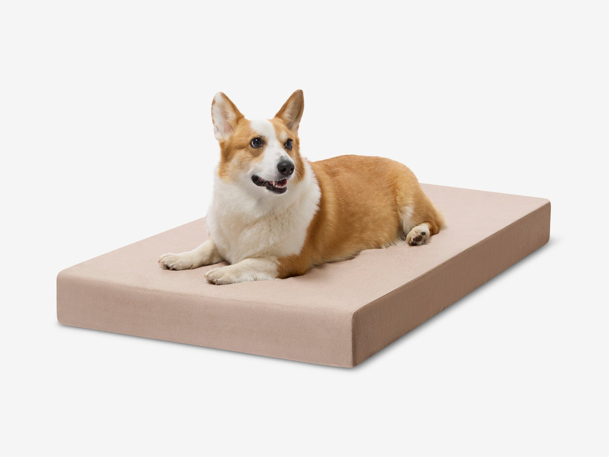 Orthopedic Dog Crate Bed Large - 39" X 25.5" X 4" / Khaki