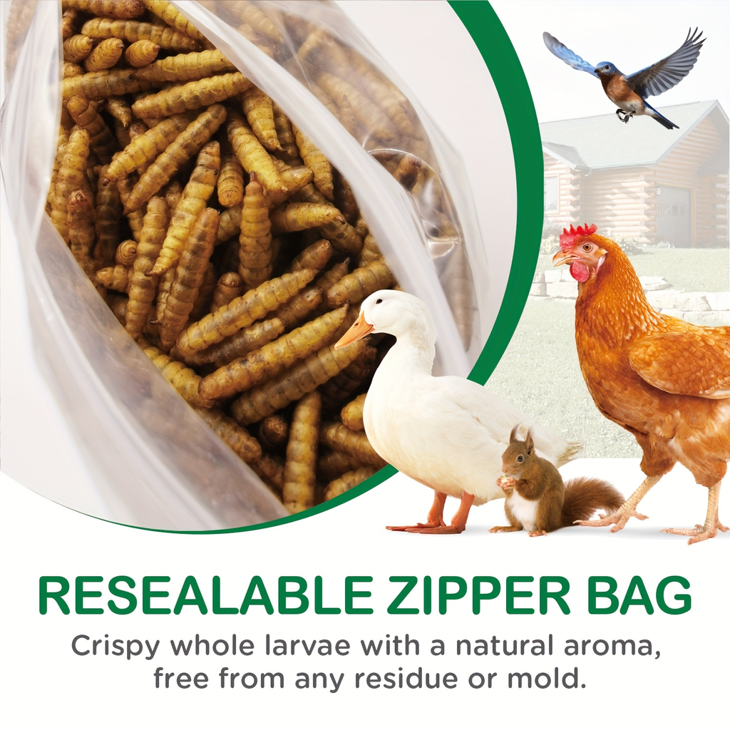 Dried Black Soldier Fly Larvae High Calcium Chicken Feed for Garden, Patio and Yard Use, with the Listed Configuration