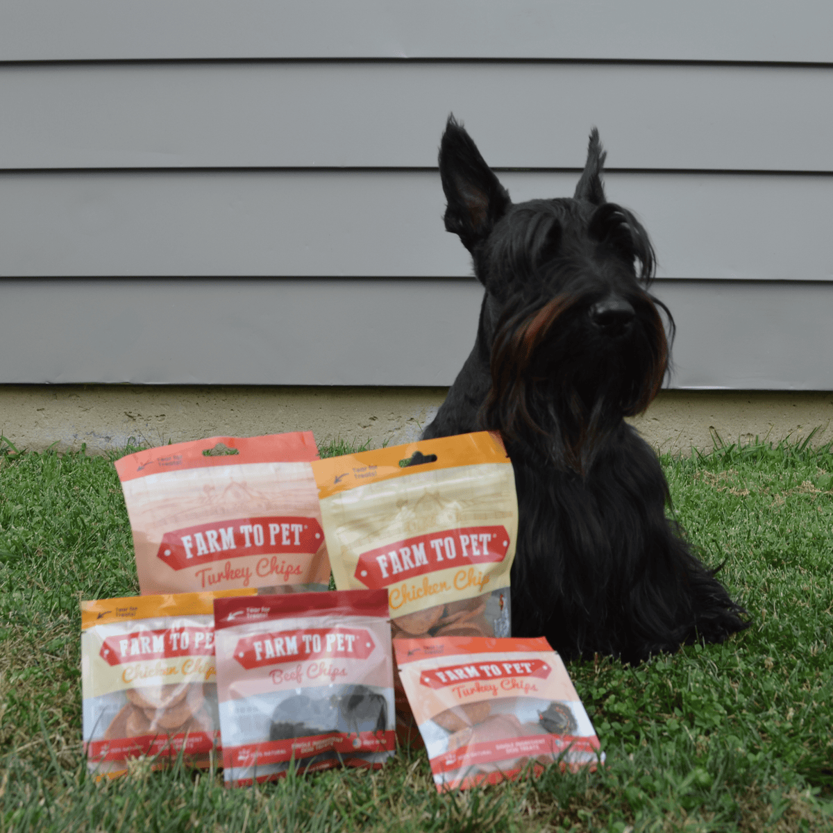 Black dog sitting on grass with 'Farm to Pet' pet food packages in front.