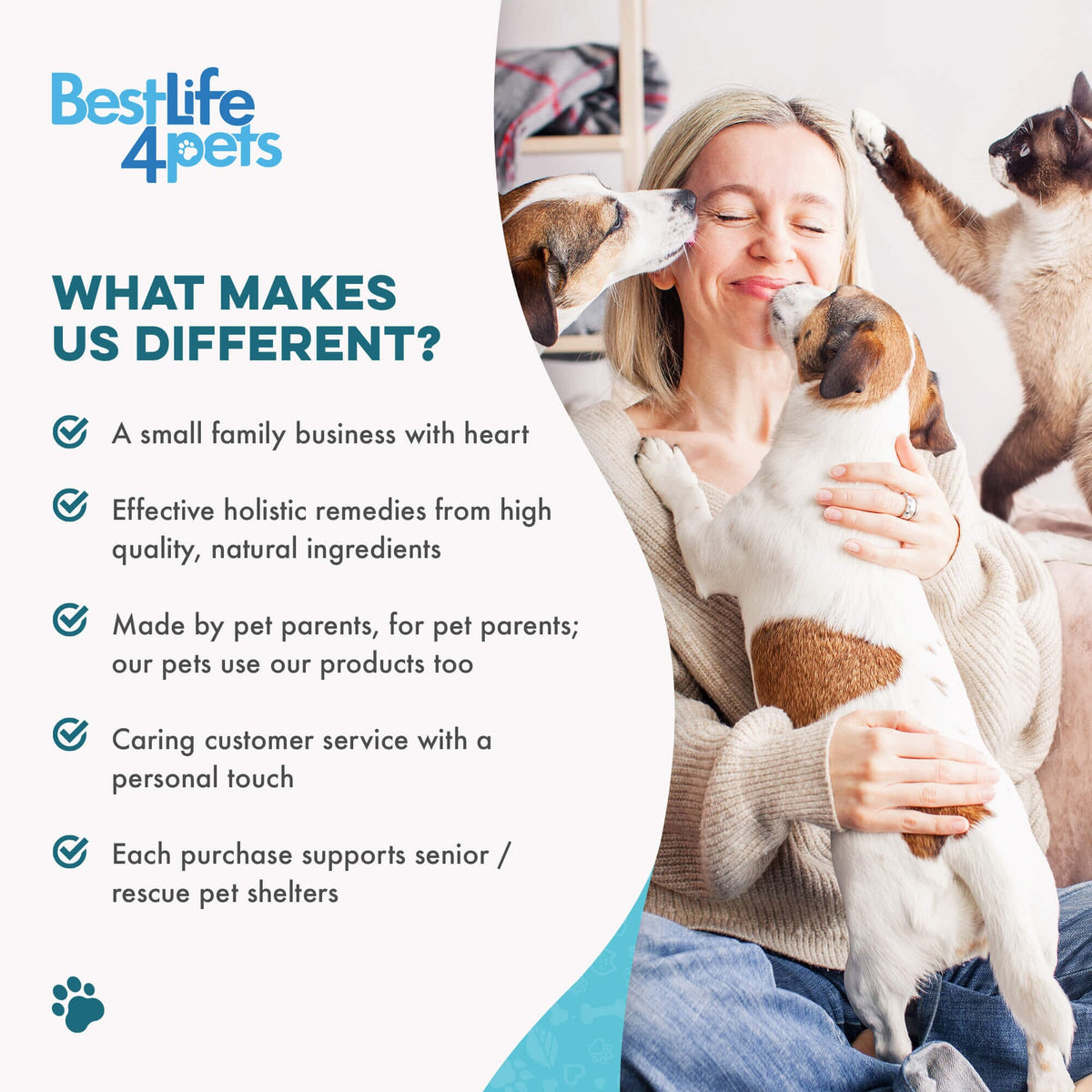 Cat Dental Care and Bad Breath Remedy - Natural Solution for Better Feline Oral Health BestLife4Pets