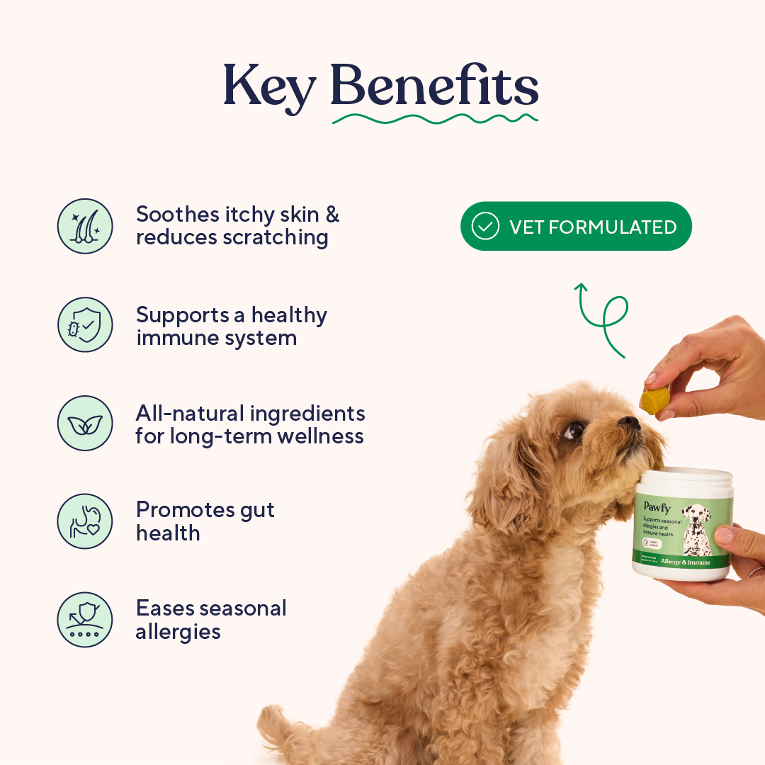 Dog Allergy and Immune Support Soft Chews product image 5