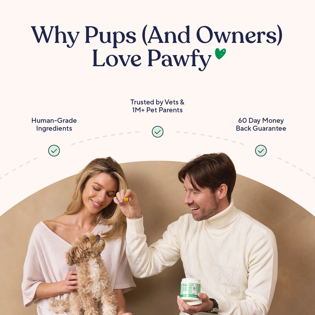 Dog Allergy and Immune Support Soft Chews product image 6