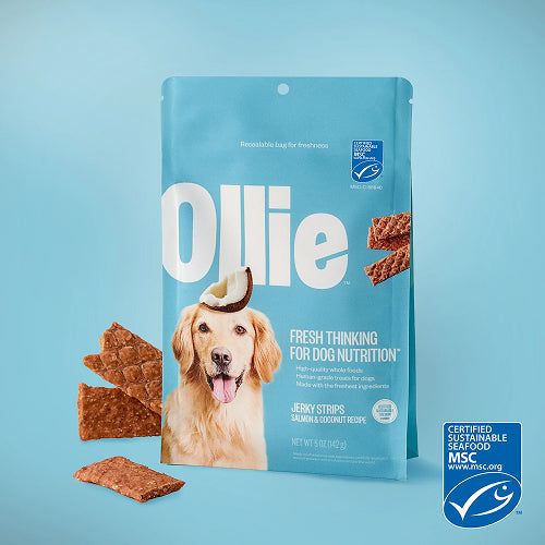 Salmon and Coconut Dog Jerky Treats product image 1