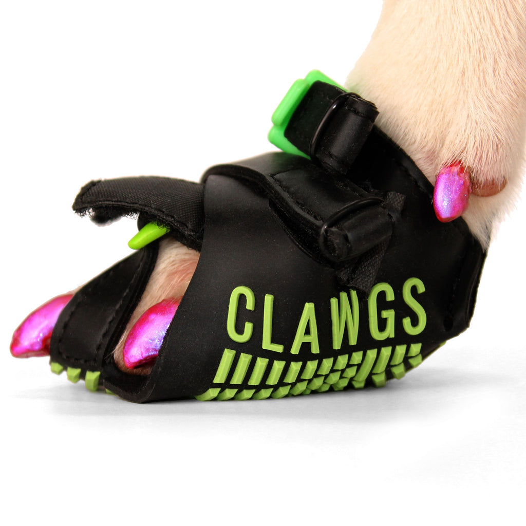 Clawgs V3