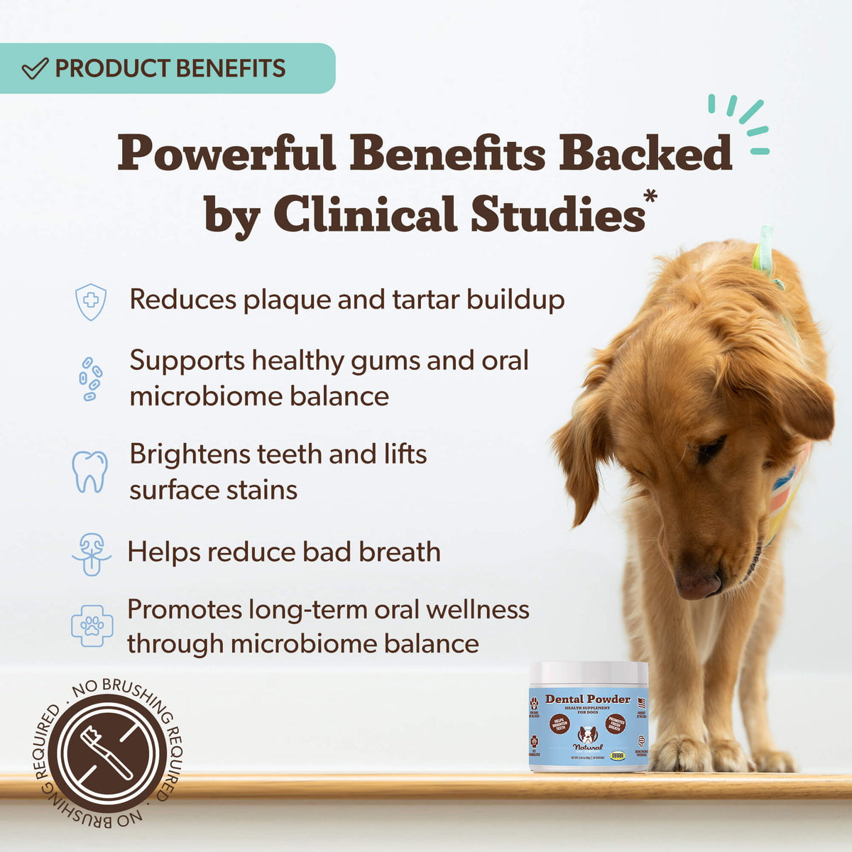 Dental Powder