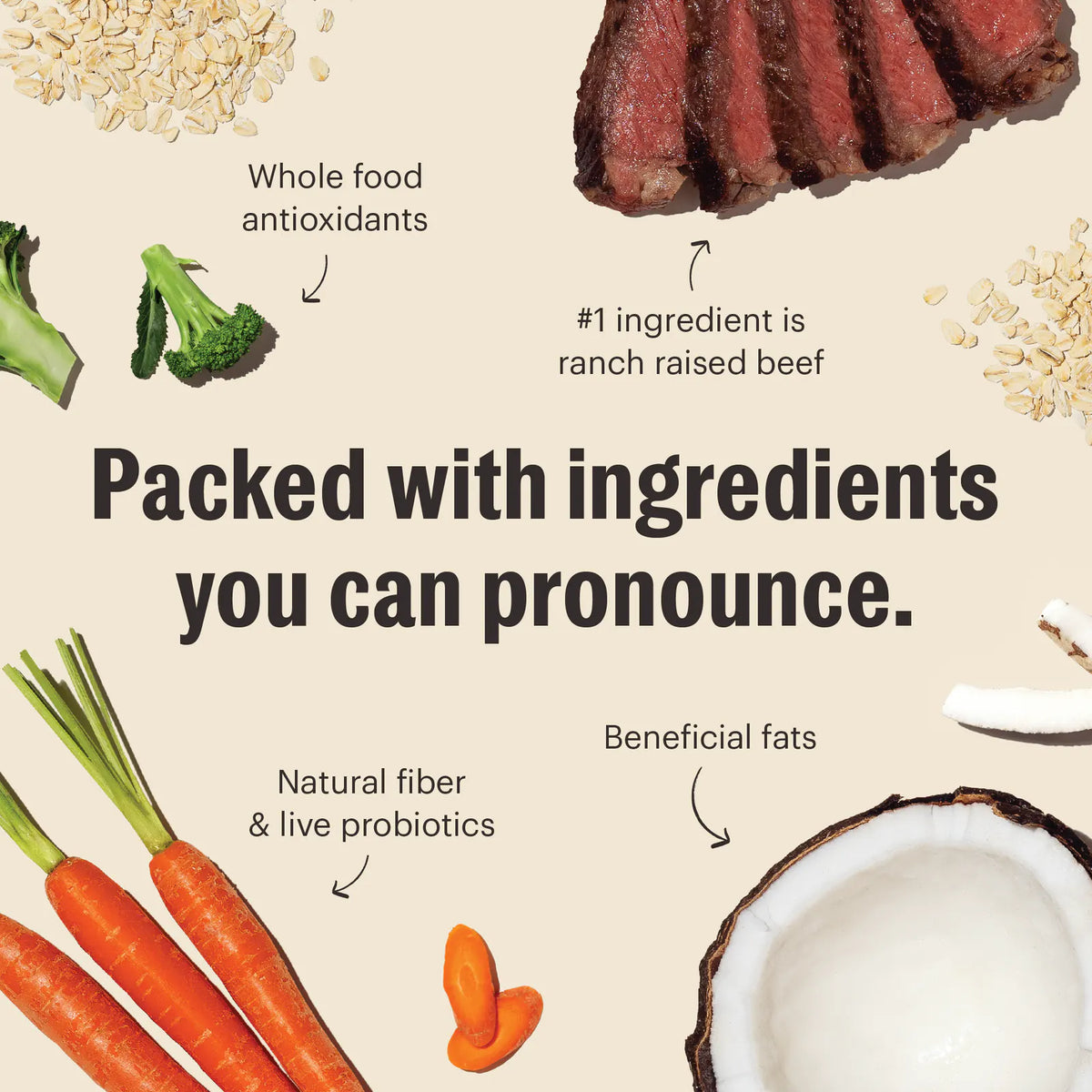 Whole Grain Beef Whole Food Clusters Dry Dog Food